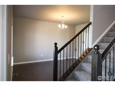 1663 Illingworth Dr, Windsor, CO 80550 photo 4