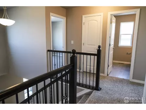 1663 Illingworth Dr, Windsor, CO 80550 photo 13