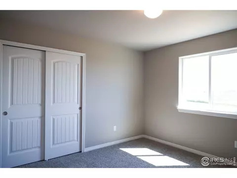 1663 Illingworth Dr, Windsor, CO 80550 photo 23