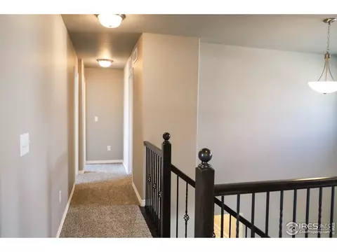 1663 Illingworth Dr, Windsor, CO 80550 photo 19