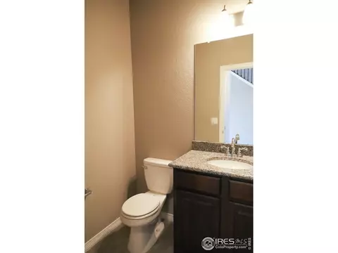 1663 Illingworth Dr, Windsor, CO 80550 photo 11