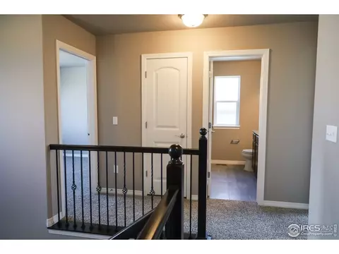 1663 Illingworth Dr, Windsor, CO 80550 photo 12