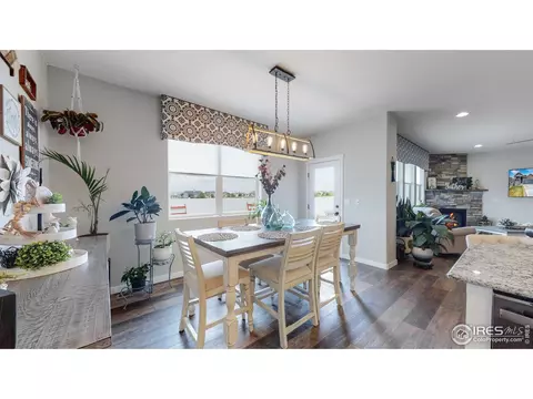 4704 Romney Lock Dr, Windsor, CO 80550 photo 9