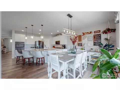 4704 Romney Lock Dr, Windsor, CO 80550 photo 8