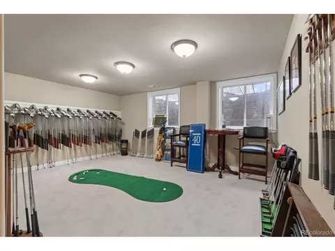 Other - 15722 E Progress Dr, Centennial, CO 80015 photo 10 of 10