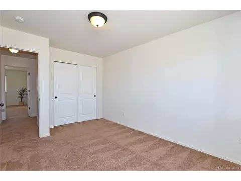 1045 Cherrybrook Dr, Windsor, CO 80550 photo 24