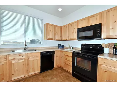 1045 Cherrybrook Dr, Windsor, CO 80550 photo 13