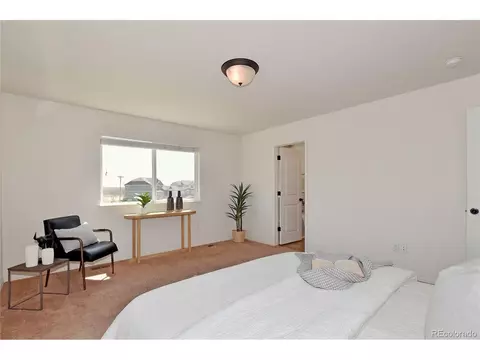1045 Cherrybrook Dr, Windsor, CO 80550 photo 17