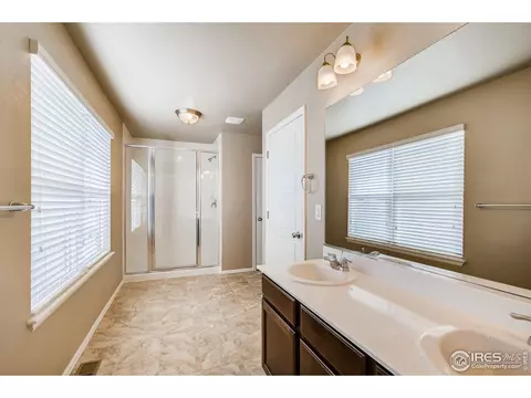 2173 Longfin Dr, Windsor, CO 80550 photo 20