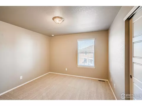 2173 Longfin Dr, Windsor, CO 80550 photo 24