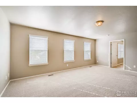 2173 Longfin Dr, Windsor, CO 80550 photo 19