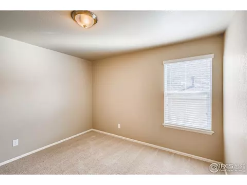 2173 Longfin Dr, Windsor, CO 80550 photo 22
