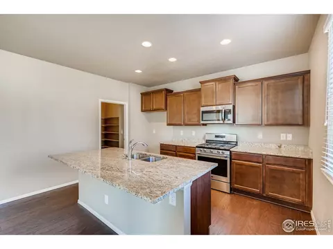 2173 Longfin Dr, Windsor, CO 80550 photo 5