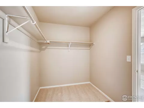 2173 Longfin Dr, Windsor, CO 80550 photo 17