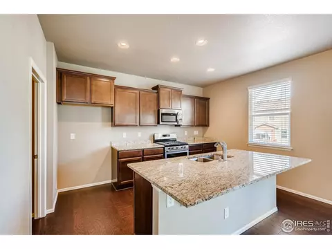 2173 Longfin Dr, Windsor, CO 80550 photo 8
