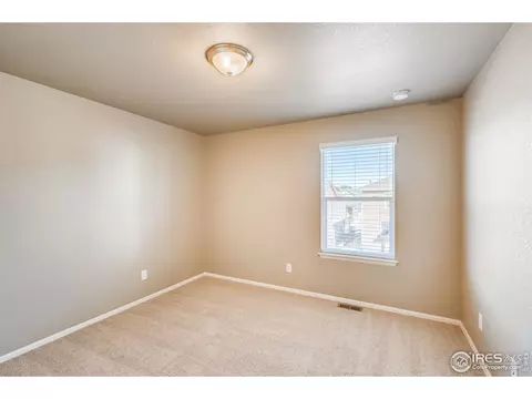 2173 Longfin Dr, Windsor, CO 80550 photo 23