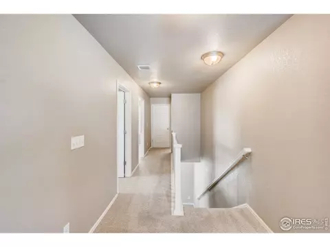 2173 Longfin Dr, Windsor, CO 80550 photo 27