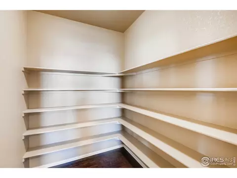 2173 Longfin Dr, Windsor, CO 80550 photo 10