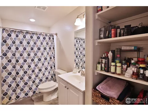 2142 Grain Bin Dr, Windsor, CO 80550 photo 24