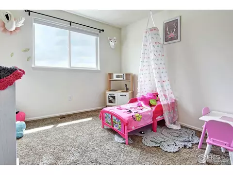 1072 Mt Oxford Ave, Severance, CO 80550 photo 25