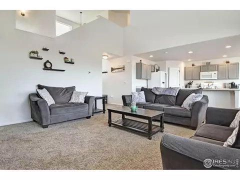 1072 Mt Oxford Ave, Severance, CO 80550 photo 10