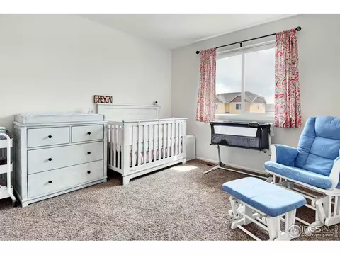 1072 Mt Oxford Ave, Severance, CO 80550 photo 27