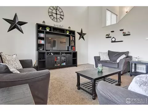 1072 Mt Oxford Ave, Severance, CO 80550 photo 8