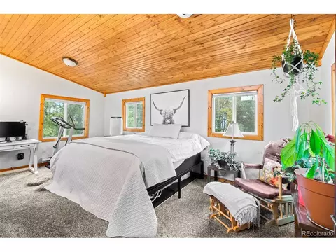 150 Fluorite Ln, Divide, CO 80814 photo 23