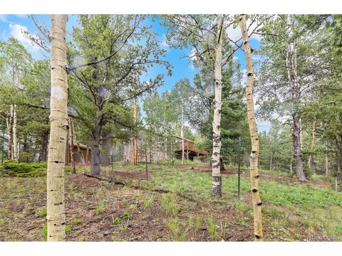 150 Fluorite Ln, Divide, CO 80814 photo 41