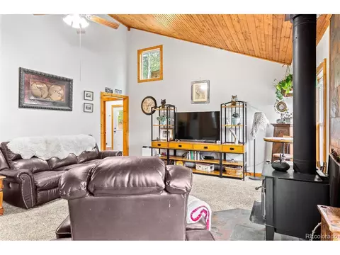 150 Fluorite Ln, Divide, CO 80814 photo 10