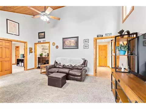 150 Fluorite Ln, Divide, CO 80814 photo 7