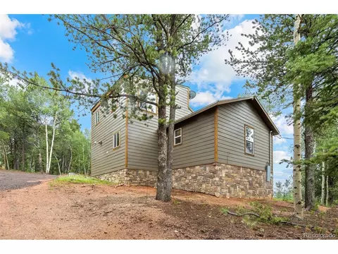 150 Fluorite Ln, Divide, CO 80814 photo 38