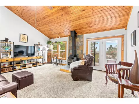 150 Fluorite Ln, Divide, CO 80814 photo 8