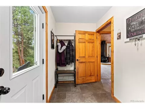 150 Fluorite Ln, Divide, CO 80814 photo 29