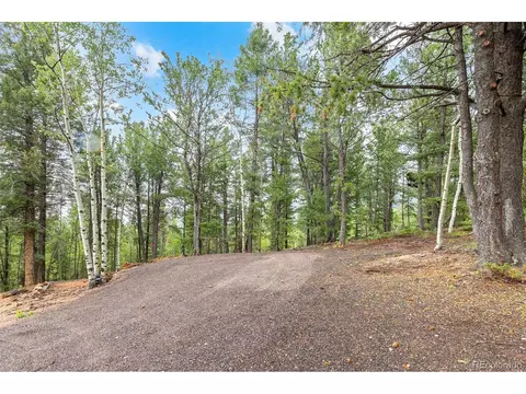 150 Fluorite Ln, Divide, CO 80814 photo 44