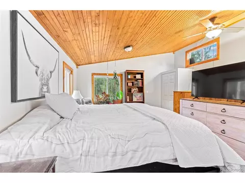 150 Fluorite Ln, Divide, CO 80814 photo 22