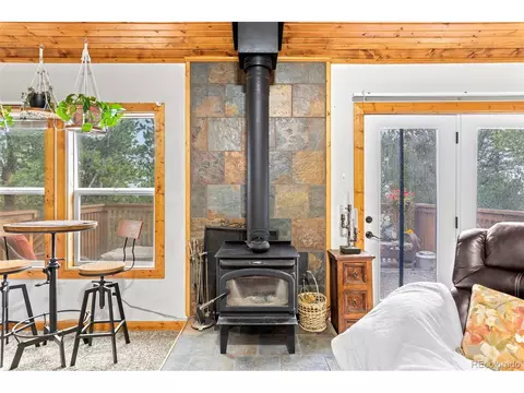 150 Fluorite Ln, Divide, CO 80814 photo 9