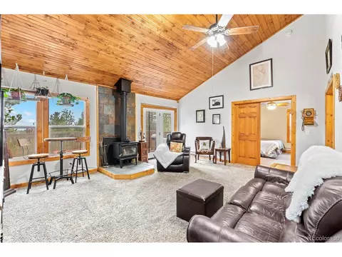 150 Fluorite Ln, Divide, CO 80814 photo 6