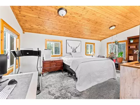 150 Fluorite Ln, Divide, CO 80814 photo 21