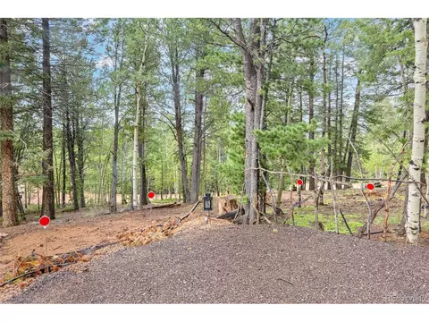 150 Fluorite Ln, Divide, CO 80814 photo 48