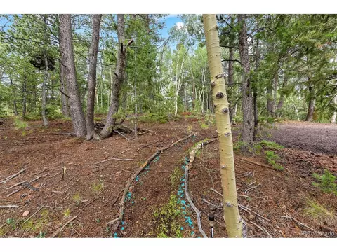 150 Fluorite Ln, Divide, CO 80814 photo 47