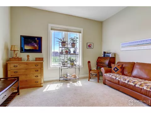 6935 Winterpeak Ct, Timnath, CO 80547 photo 21