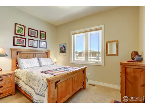 6935 Winterpeak Ct, Timnath, CO 80547 photo 19