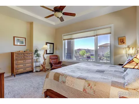 6935 Winterpeak Ct, Timnath, CO 80547 photo 16