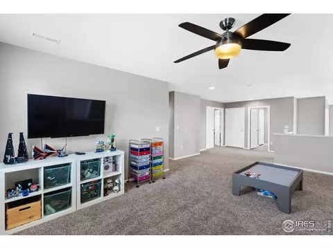 10249 Bluegrass St, Firestone, CO 80504 photo 22