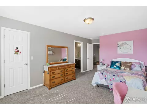 10249 Bluegrass St, Firestone, CO 80504 photo 28