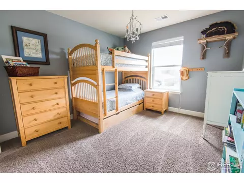 6785 Flintlock Rd, Timnath, CO 80547 photo 29