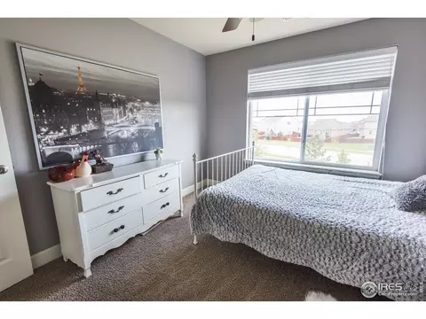 6785 Flintlock Rd, Timnath, CO 80547 photo 21