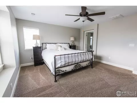6785 Flintlock Rd, Timnath, CO 80547 photo 24