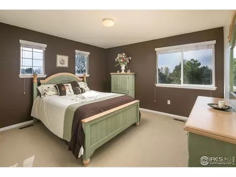 4872 Haystack Dr, Windsor, CO 80550 photo 26